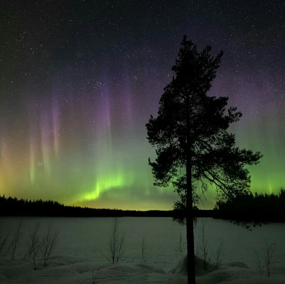 Meet your Poshmark Ambassador, Sharon Miguelita - Picture 2 of 3